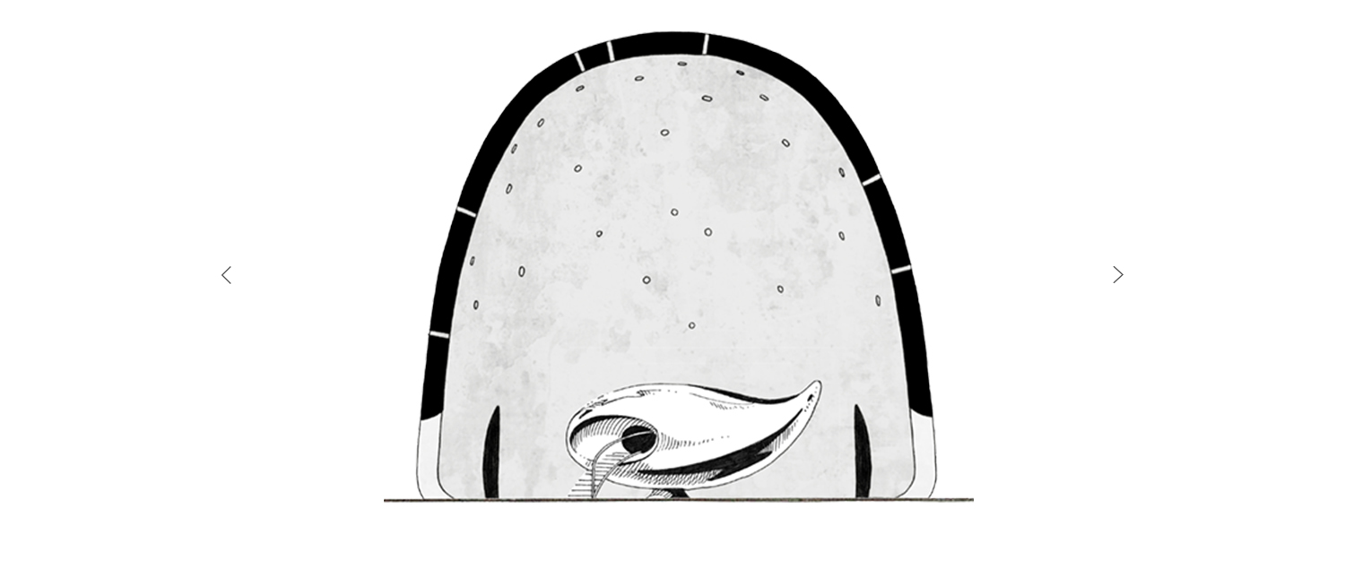 Wave UFO